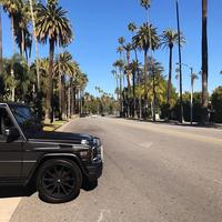 Отзыв от Павел - DTV виза