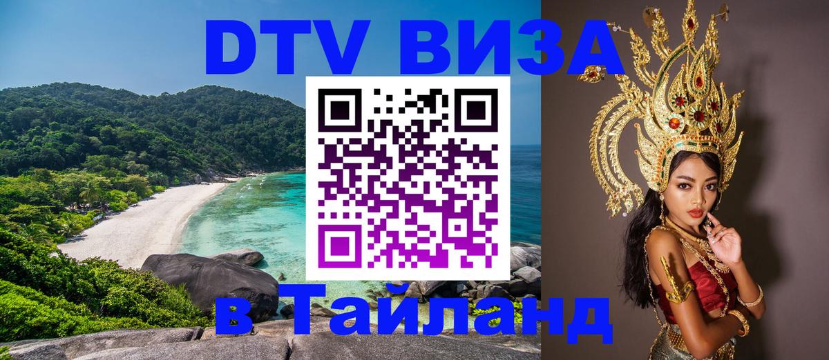 Сколько стоит DTV виза — актуальные цены, оформление даже без документов - 18.11.2025 